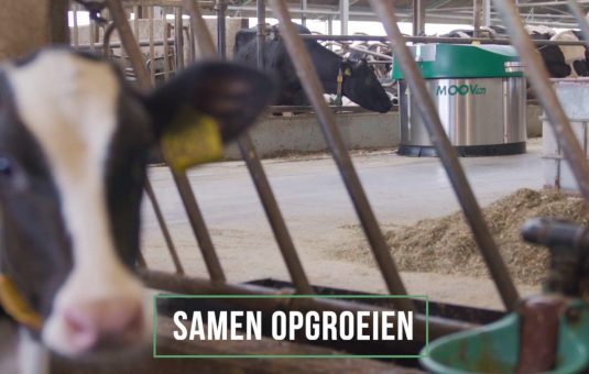 samen opgroeien met moov pro voeraanschuifrobot thumbnail youtube