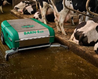 Barn-e-pro-joz-stal