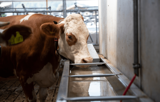Waterbakken-blog-hygiene-nl-2