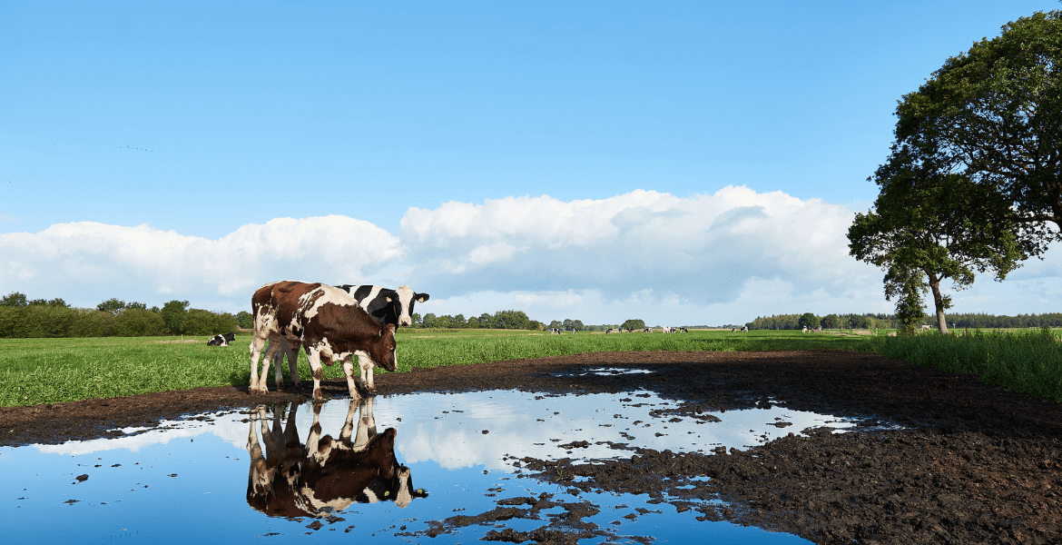 Circular-farming-JOZ-BLOG