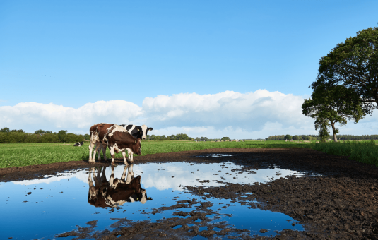 Circular farming -JOZ-BLOG